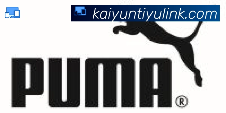 ky开云合作伙伴