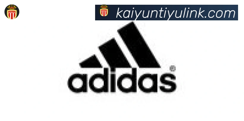 ky开云合作伙伴